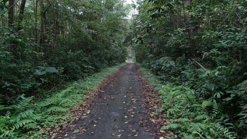 Misi memburu hantu - Fiksyen Shasha