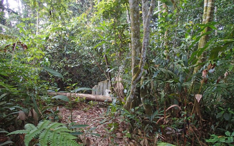 Gangguan Di Gunung Nuang - Fiksyen Shasha