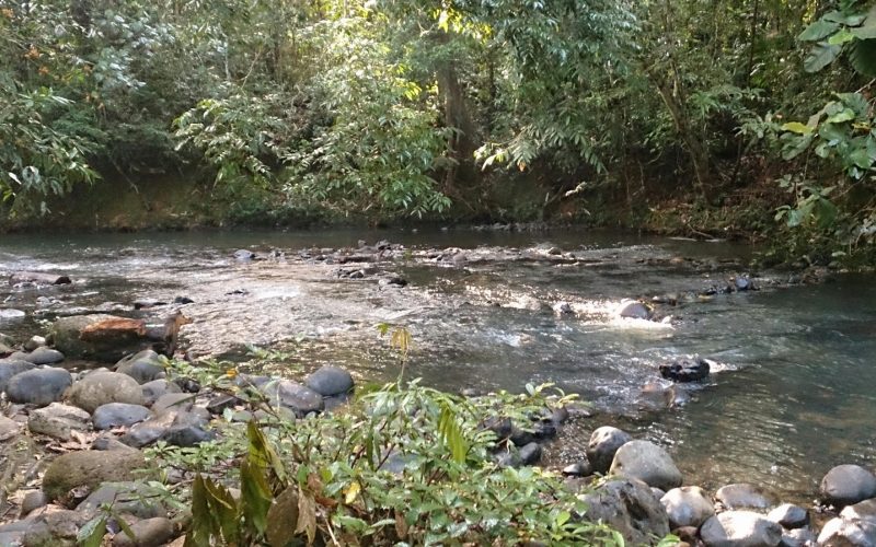 BERCAMPING DI TAMAN BUKIT TAWAU - Fiksyen Shasha