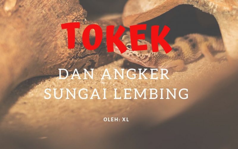 Tokek dan Angker Sungai Lembing - Fiksyen Shasha