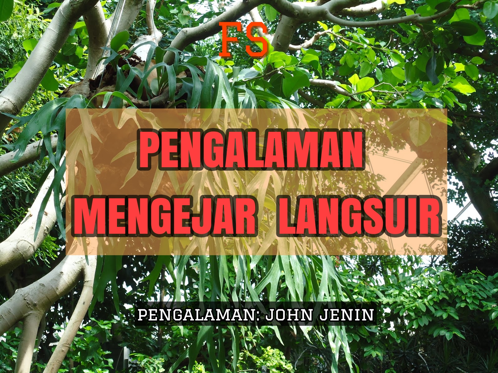 Pengalaman Mengejar Langsuir - Fiksyen Shasha