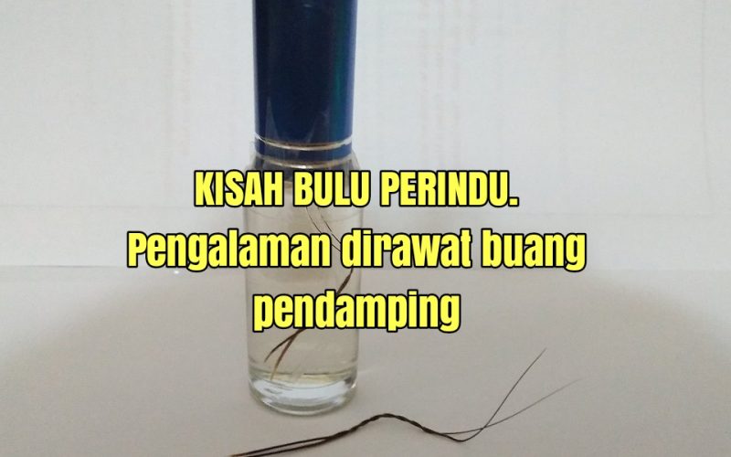 Cerita Seram Baru 2019 - Toast Nuances